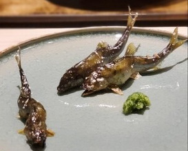 Dinner at Oryori Mitsuyasu (御料理 光安)