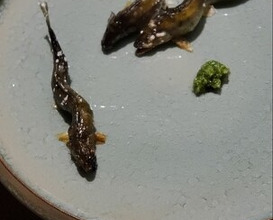 Dinner at Oryori Mitsuyasu (御料理 光安)