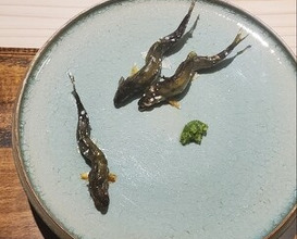 Dinner at Oryori Mitsuyasu (御料理 光安)