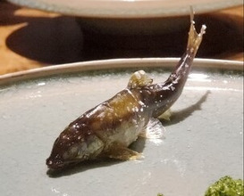 Dinner at Oryori Mitsuyasu (御料理 光安)