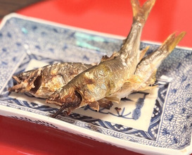 Dinner at Miyamaso (美山荘)