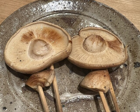 Dinner at Yakitori Mizuki (焼鳥 みずき)