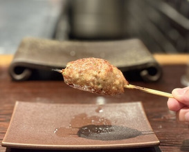 Dinner at YAKITORI Moe es (YAKITORI 燃 es)