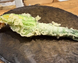 Dinner at Tempura Mokkosu (天ぷら もっこす)