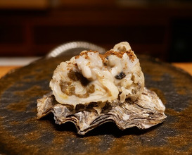 Dinner at Tempura Mokkosu (天ぷら もっこす)