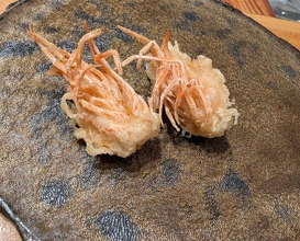 Dinner at Tempura Mokkosu (天ぷら もっこす)