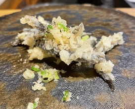 Dinner at Tempura Mokkosu (天ぷら もっこす)