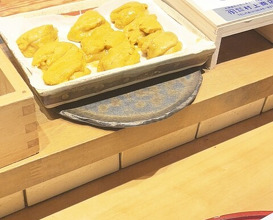 Dinner at Tempura Mokkosu (天ぷら もっこす)