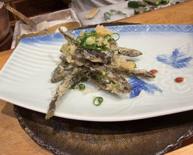 Dinner at Tempura Mokkosu (天ぷら もっこす)