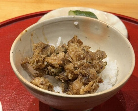 Dinner at Tempura Mokkosu (天ぷら もっこす)