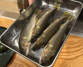 Dinner at Mori Fuji (森ふじ)