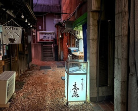 Dinner at Chinese Sai Muen (中国菜 木燕)
