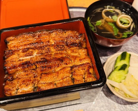 Dinner at Unagi Musashino (鰻 むさし乃)
