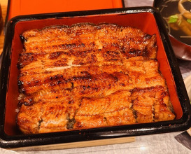 Dinner at Unagi Musashino (鰻 むさし乃)