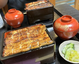 Dinner at Unagi Musashino (鰻 むさし乃)