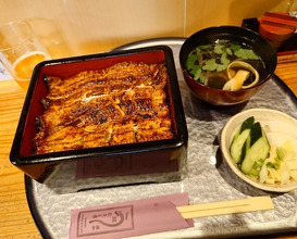 Dinner at Unagi Musashino (鰻 むさし乃)
