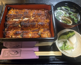 Dinner at Unagi Musashino (鰻 むさし乃)
