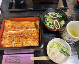 Dinner at Unagi Musashino (鰻 むさし乃)