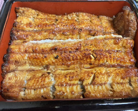 Dinner at Unagi Musashino (鰻 むさし乃)