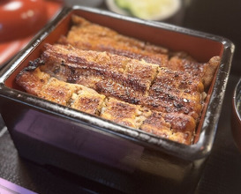 Dinner at Unagi Musashino (鰻 むさし乃)