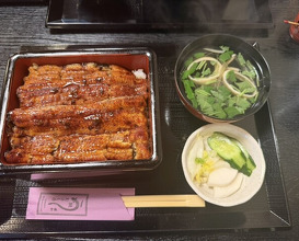 Dinner at Unagi Musashino (鰻 むさし乃)