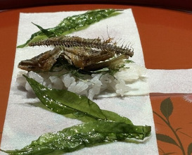 Dinner at Myoujyaku