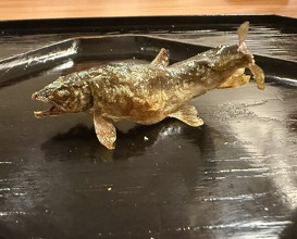 Dinner at Myoujyaku