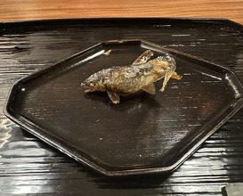 Dinner at Myoujyaku