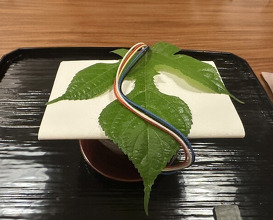 Dinner at Myoujyaku