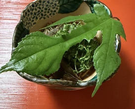 Dinner at Higashichaya Nakamura