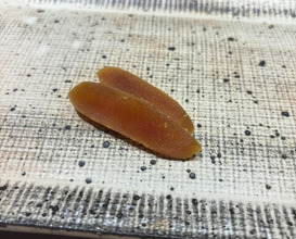 Dinner at Sushi Nishizaki (鮨 西崎)