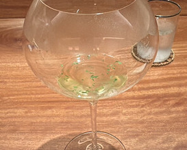 Dinner at NK (New Wonderful Companions feat. Kakuland)