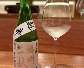 Dinner at NK (New Wonderful Companions feat. Kakuland)