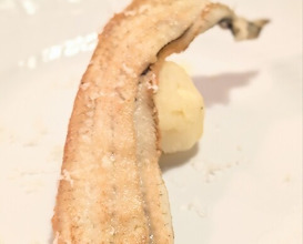 Dinner at Namae no Nai Italia Ryori Ten (名前のないイタリア料理店)