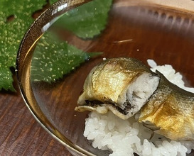 Dinner at Ogata