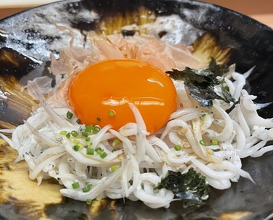 Dinner at Akasaka Ogino