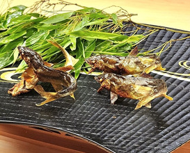 Dinner at Akasaka Ogino