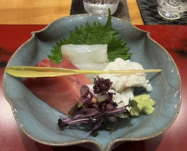 Dinner at Ootani (おおたに)