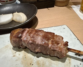 Dinner at Yakitori Omino