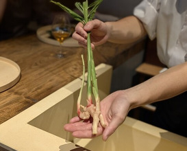 Dinner at Onjaku (温石)