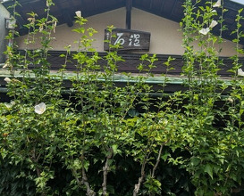 Dinner at Onjaku (温石)