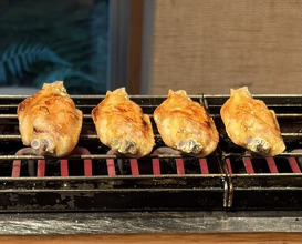 Dinner at Jidoriya Onza (じどりや 穏座)
