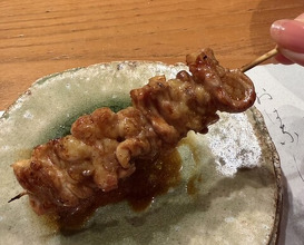 Dinner at Jidoriya Onza (じどりや 穏座)