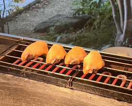 Dinner at Jidoriya Onza (じどりや 穏座)