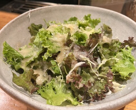 Dinner at Jidoriya Onza (じどりや 穏座)