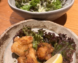 Dinner at Jidoriya Onza (じどりや 穏座)