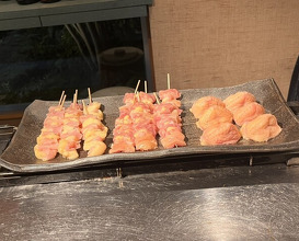 Dinner at Jidoriya Onza (じどりや 穏座)