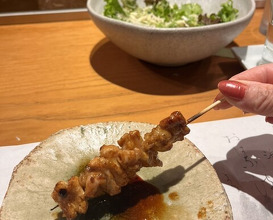 Dinner at Jidoriya Onza (じどりや 穏座)