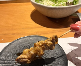 Dinner at Jidoriya Onza (じどりや 穏座)