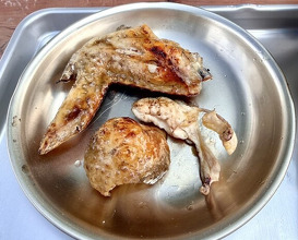 Dinner at Jidoriya Onza (じどりや 穏座)
